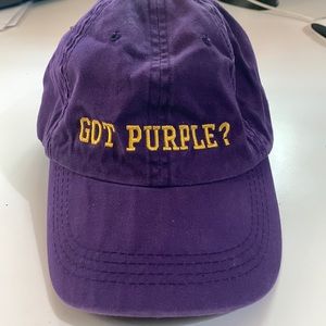 GOT PURPLE? Purple and Gold adjustable baseball hat